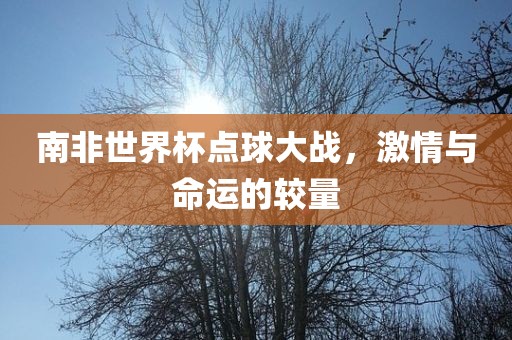 南非世界杯点球大战，激情与命运的较量