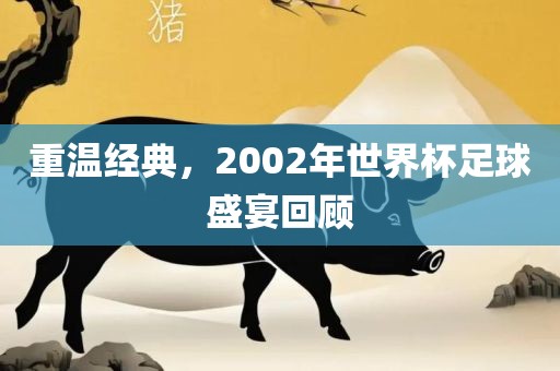 重温经典，200眉山市正发家政服务有限公司2年世界杯足球盛宴回顾