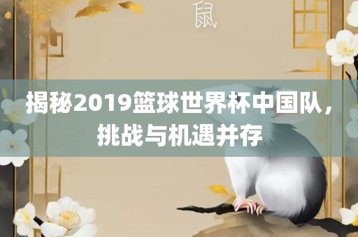 揭秘2019篮球世界杯中国队，挑战与机遇并存