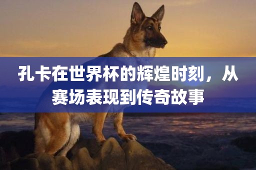 孔卡在世界杯的辉煌时刻，从赛场表现到传奇故事眉山市正发家政服务有限公司