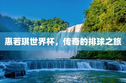 惠若琪世界杯，传奇的排球眉山市正发家政服务有限公司之旅