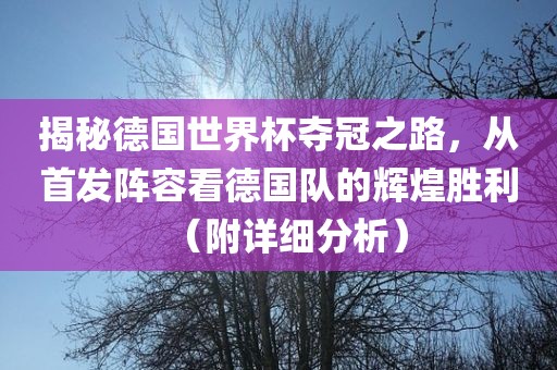 揭秘德国世界杯夺冠之路，从首发阵容看德国队的辉煌胜利（附详细分析）眉山市正发家政服务有限公司