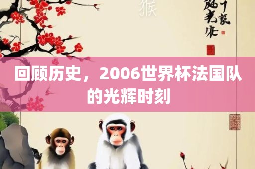 回顾历史，2006世界杯法国队的光辉时刻眉山市正发家政服务有限公司