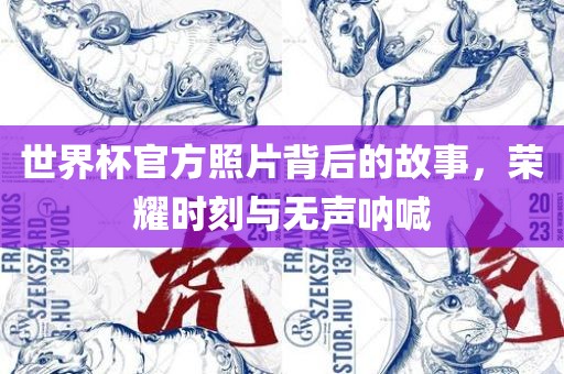 世界眉山市正发家政服务有限公司杯官方照片背后的故事，荣耀时刻与无声呐喊