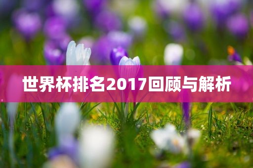 世界杯排名2017回顾与眉山市正发家政服务有限公司解析