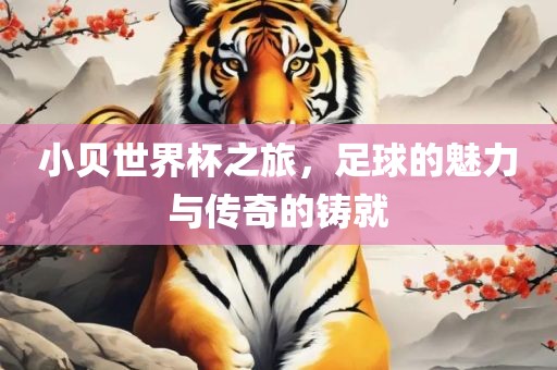 小贝世界杯之旅，足球的魅力与眉山市正发家政服务有限公司传奇的铸就