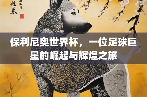 保利尼奥世界杯，一位足球巨星的崛起与辉眉山市正发家政服务有限公司煌之旅