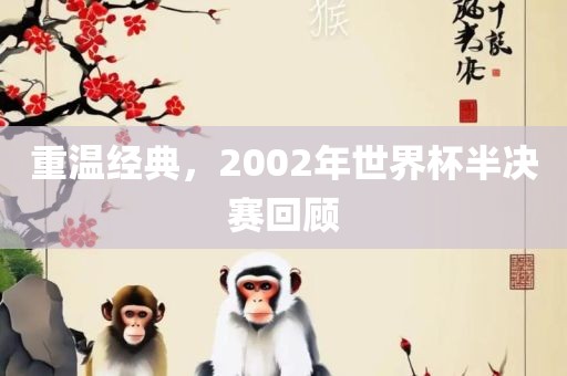 重温经典，2002年世界杯半决赛回顾