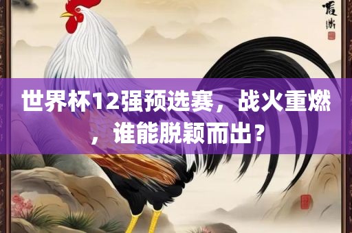 世界杯12强预选赛，战火重燃，谁能脱颖而出？