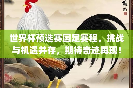 世界杯预选赛国足赛程，挑战与机遇并存，期待奇迹再现！