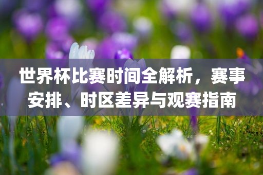 世界杯比赛时间全解析，赛事安排、时区差异与观赛指南