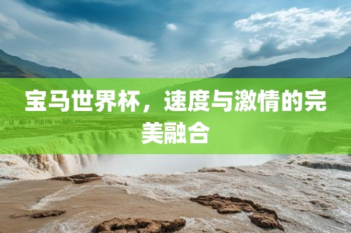 宝马世界杯，速度与激情的完美融合