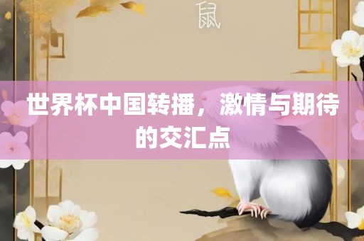 世界杯中国转播，激情与期待的交汇点眉山市正发家政服务有限公司