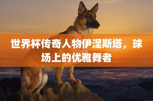世界杯传奇人物伊涅斯塔，球场上的优雅舞者