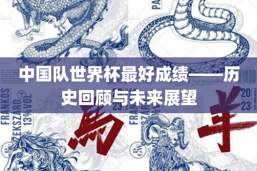 中国队世界杯最好成绩——历史回顾与未来展望