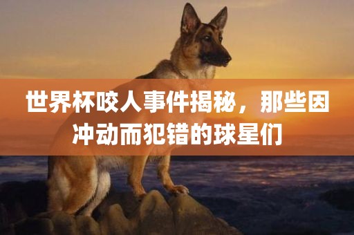 世界杯咬人事件揭秘，那些因冲动而犯错的球星们