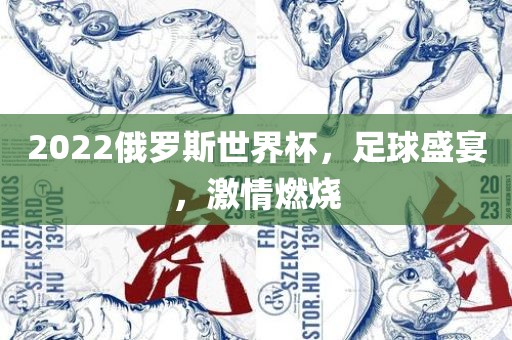 足球盛宴 第6页