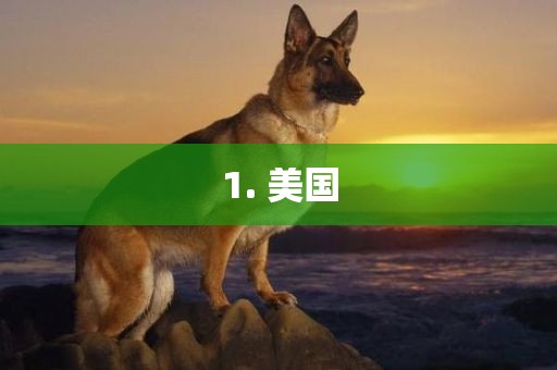 1眉山市正发家政服务有限公司. 美国