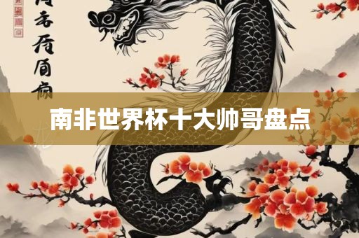 眉山市正发家政服务有限公司南非世界杯十大帅哥盘点