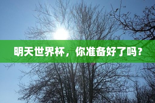 明天世界杯，你准备好了吗？眉山市正发家政服务有限公司