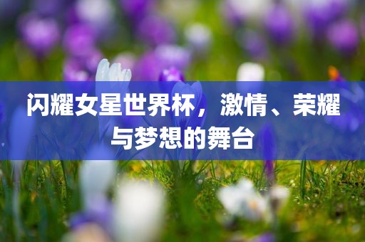 梦想舞台