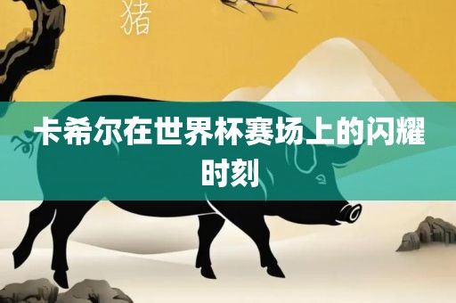 卡希尔在世界杯赛场上的闪耀时刻