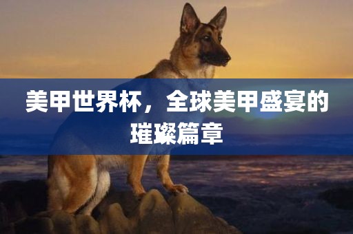 抖音热搜 第135页