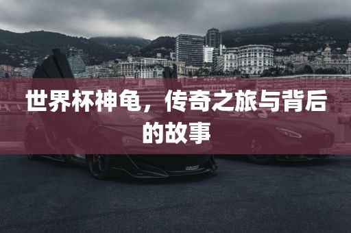 世界杯神龟，传奇之旅与背后的故事