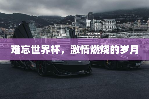难忘世界杯，激情燃烧的岁月