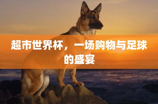 超市世界杯，一场购物与足球的盛宴眉山市正发家政服务有限公司