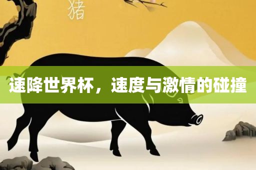 速降世界杯，眉山市正发家政服务有限公司速度与激情的碰撞