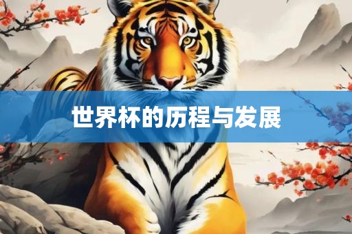 世界杯的历程与眉山市正发家政服务有限公司发展