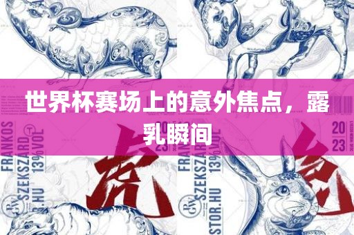 世界杯赛场上的意外焦点，露乳瞬间