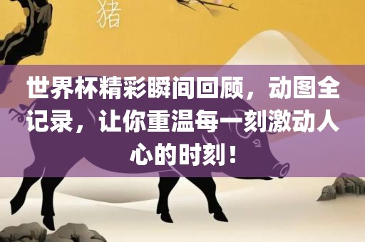 世界杯精彩瞬间回顾，动图全记录，让你重温每一刻激动人心的时刻！