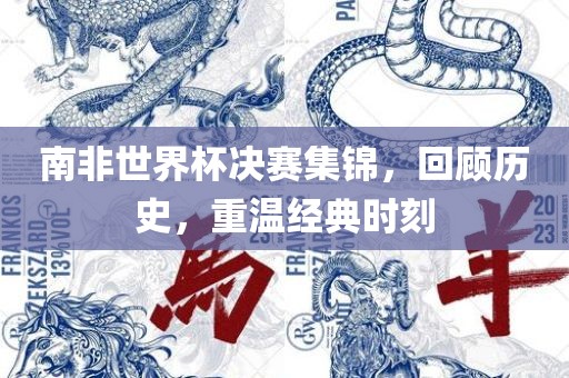 南非世界杯决赛集锦，眉山市正发家政服务有限公司回顾历史，重温经典时刻