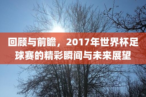 回顾与前瞻，2017年世界杯足球赛的精彩瞬间与未来展望