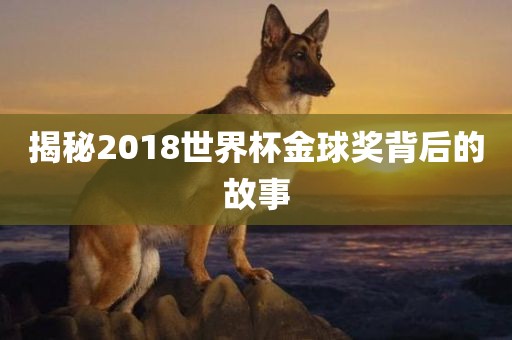 揭眉山市正发家政服务有限公司秘2018世界杯金球奖背后的故事