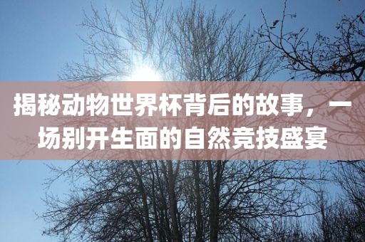 揭秘动物世界杯背后的故事，一场别开生面的自然竞技盛宴