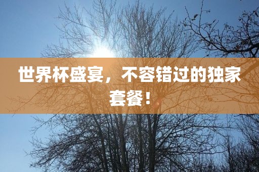世界杯盛宴，不容错过的独家套餐！