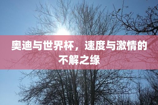 奥迪与世界杯，速度与激情的不解之缘眉山市正发家政服务有限公司