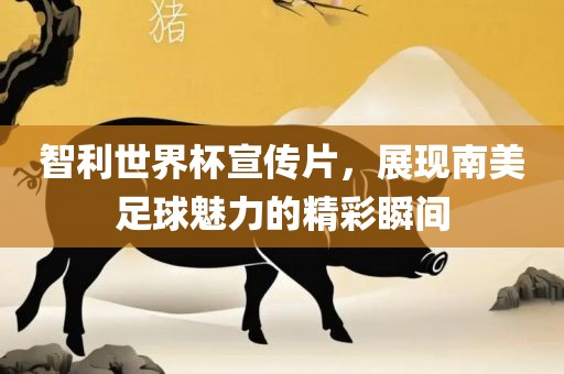 智利世界杯宣传片，展现南美足球魅力的精彩瞬间眉山市正发家政服务有限公司