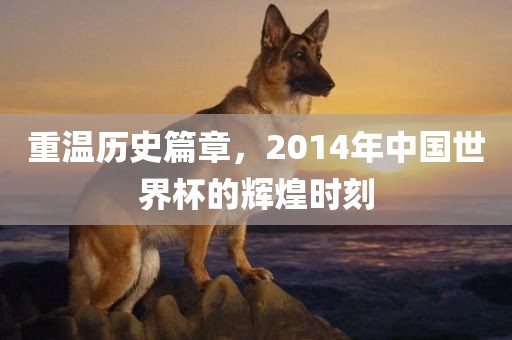 重温历史篇章，2014年中国世界杯的辉煌时刻