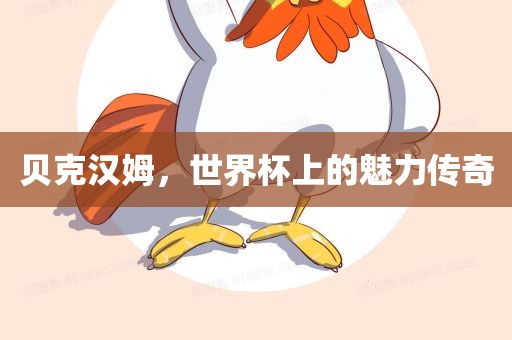 贝克汉姆，世界杯上的魅力传奇眉山市正发家政服务有限公司