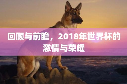 回顾与前瞻，2018年世界杯的激情与荣耀眉山市正发家政服务有限公司