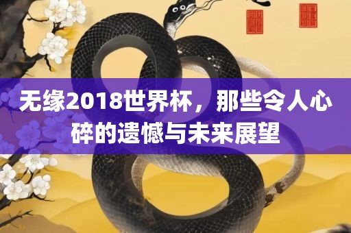 无缘2018世界杯，那些令人心碎的遗憾与未来展望
