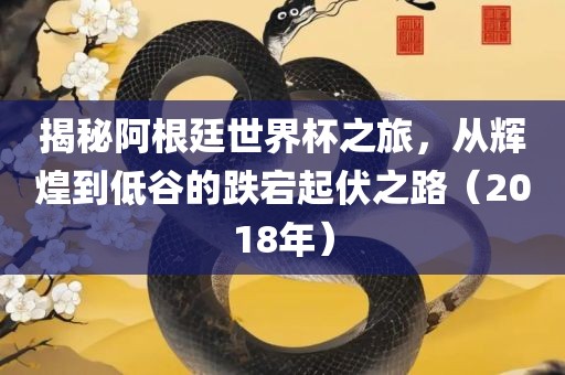 揭秘阿根廷世界杯之旅，从辉煌到低谷的跌宕起伏之路（2018年）