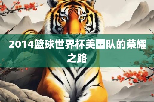 2014篮球世界杯美国队的荣耀之路
