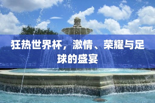 狂热世界杯，激情、荣耀与足球的盛宴眉山市正发家政服务有限公司