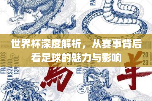 世界杯深度解析，从赛事背后看足球的魅力与影响眉山市正发家政服务有限公司