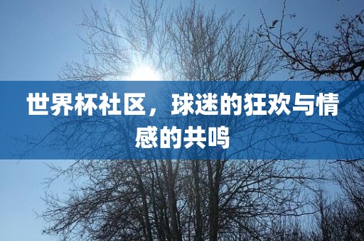 世界杯社区，球迷的狂欢与情感的共鸣